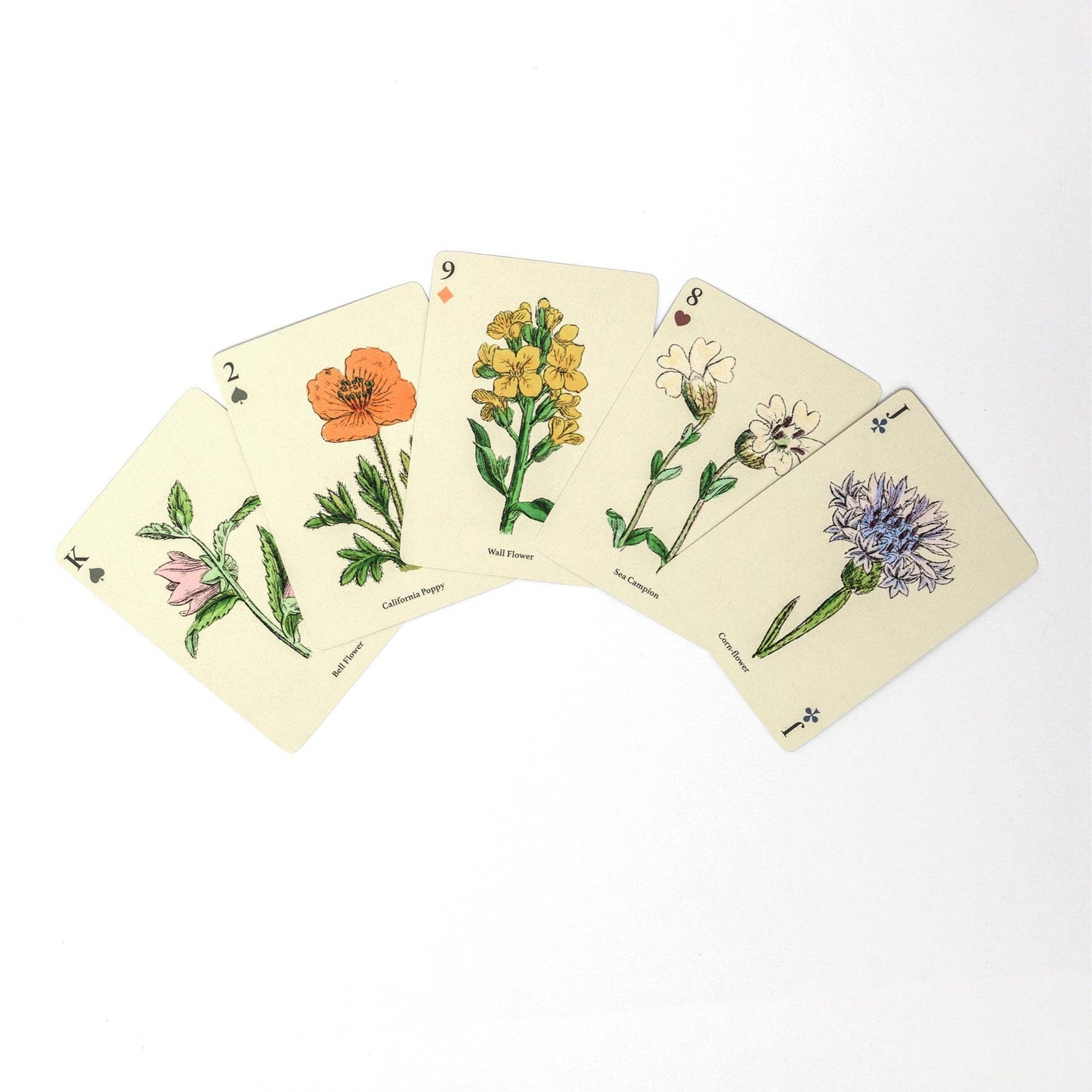 Single Playing Card Deck - Wildflowers