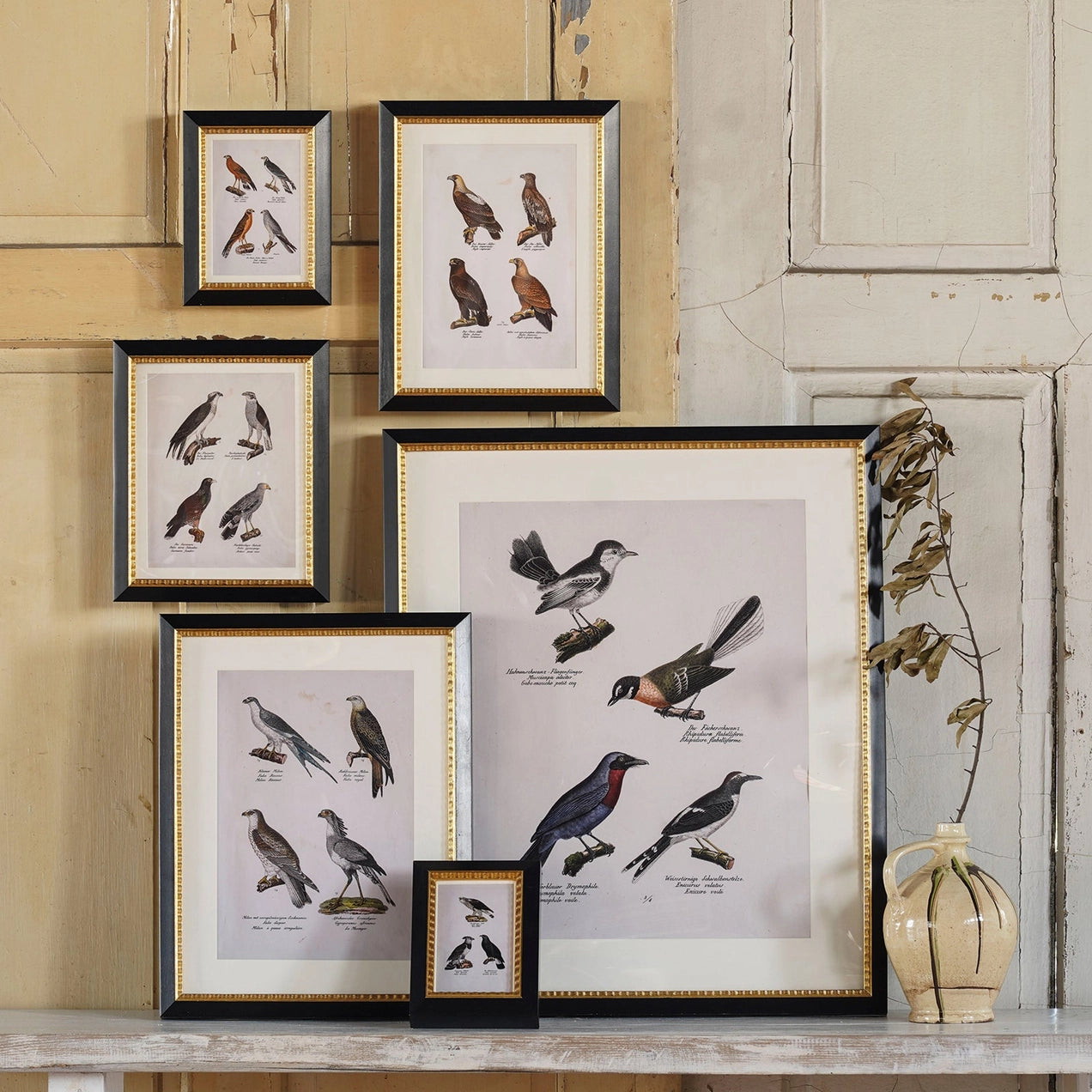 Andover 8x10 Matted Frame