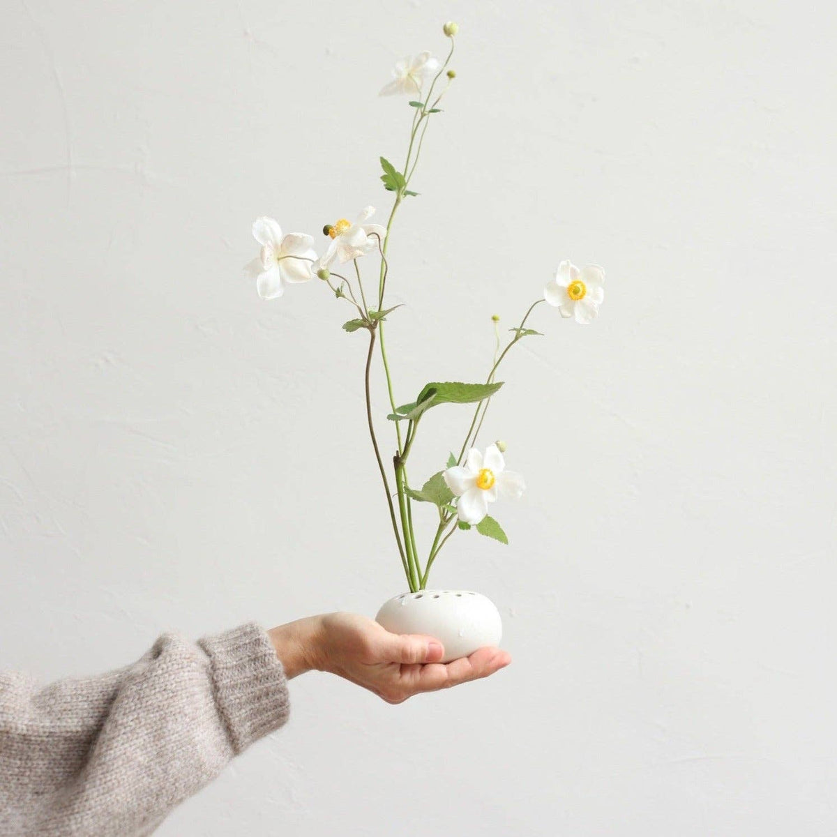 Oval Flower Frog