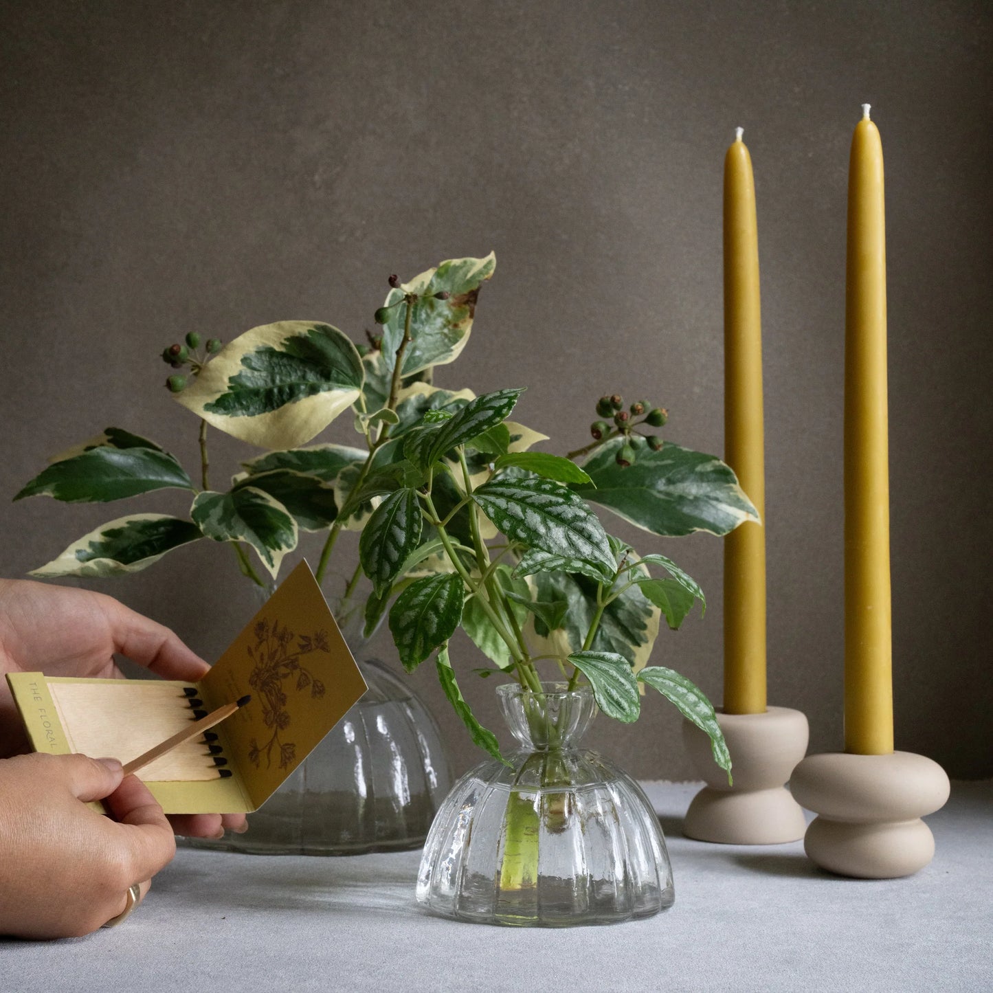 Botanic Matchbook