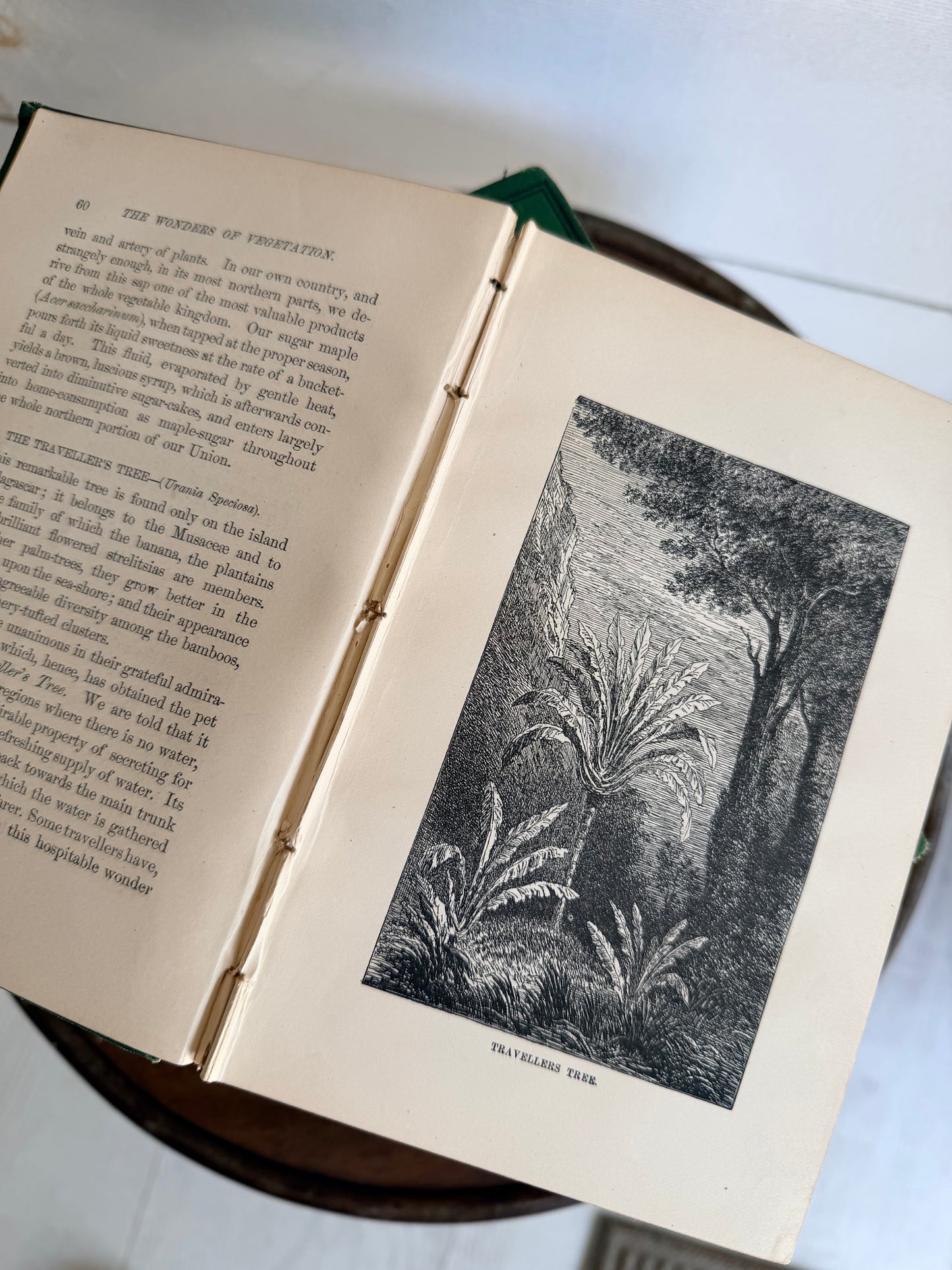 Set of 5 1870's "Illustrated Library of Wonders" Hardcover Books