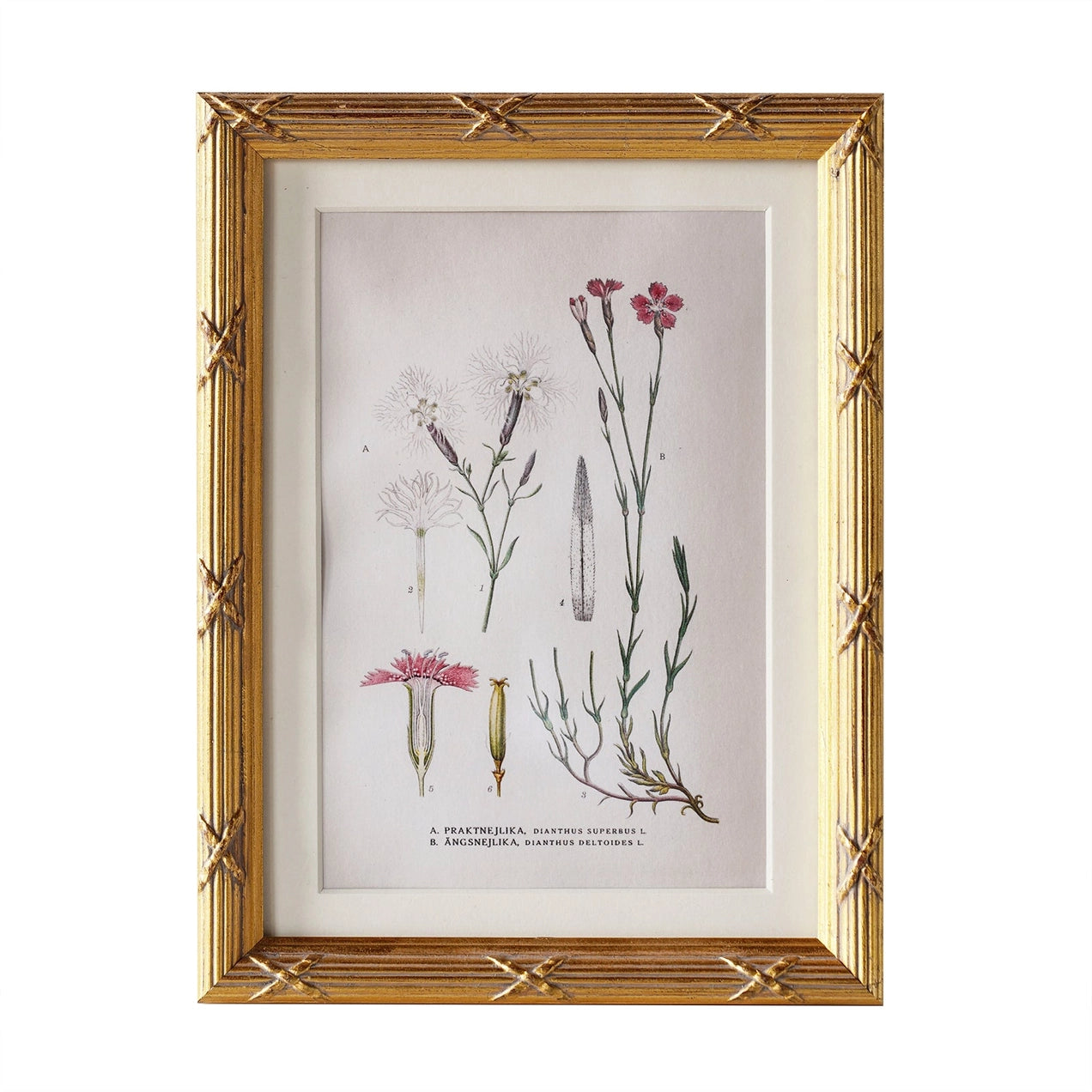 Arundel Matted Frame