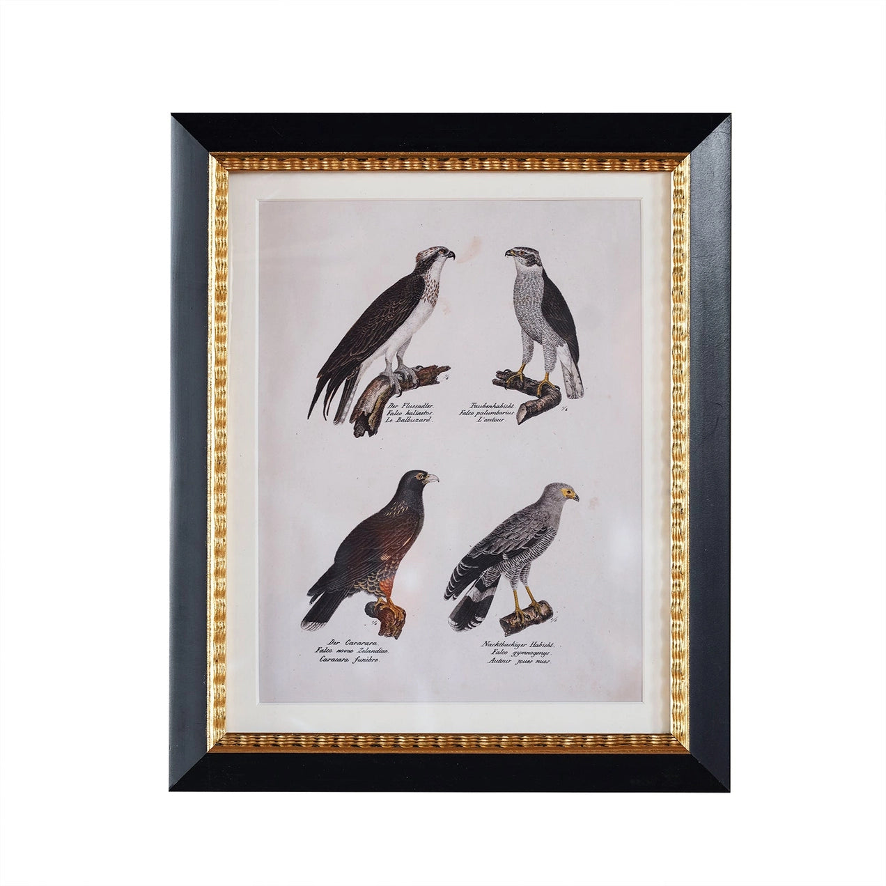 Andover 8x10 Matted Frame