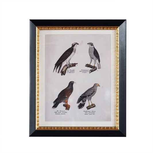 Andover 8x10 Matted Frame