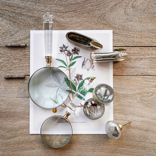 Lucite Magnifier